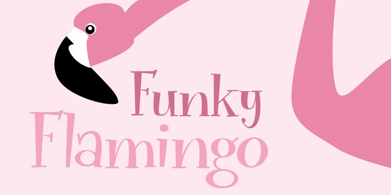 Funky Flamingo Schriftart
