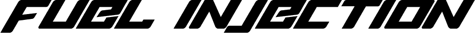 Fuel Injection Italic