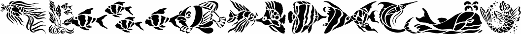 Fun Fish
