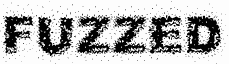 Fuzzed