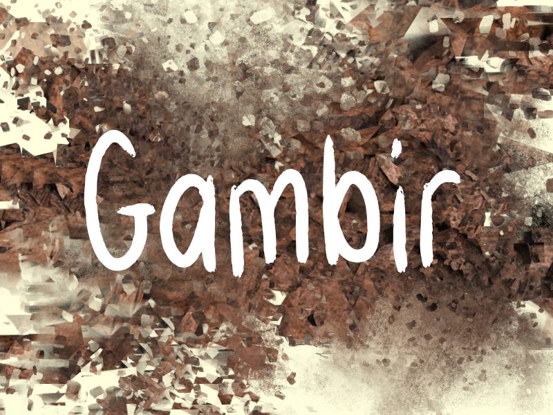 g Gambir Carattere