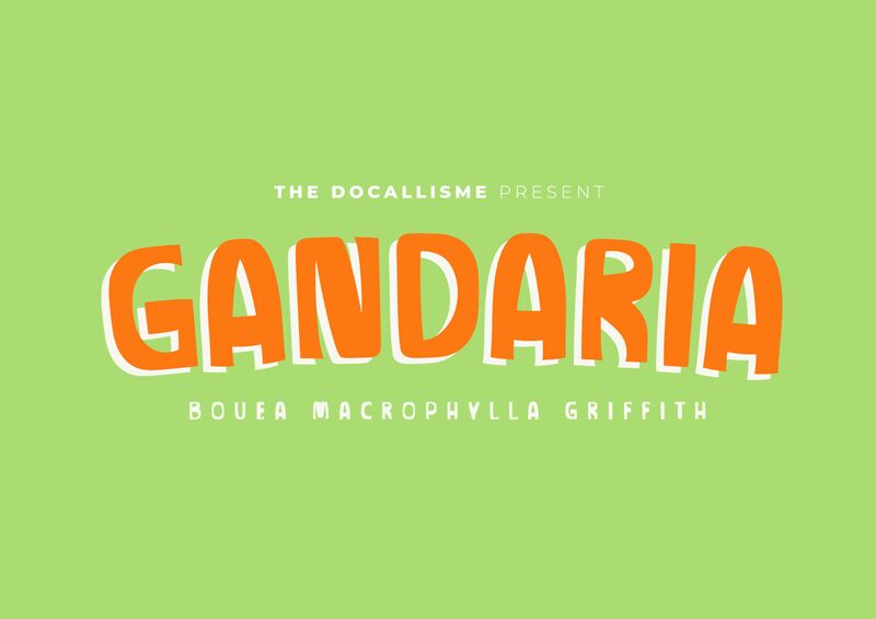 GANDARIA Font