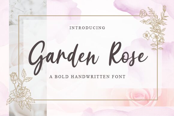 Garden Rose Carattere