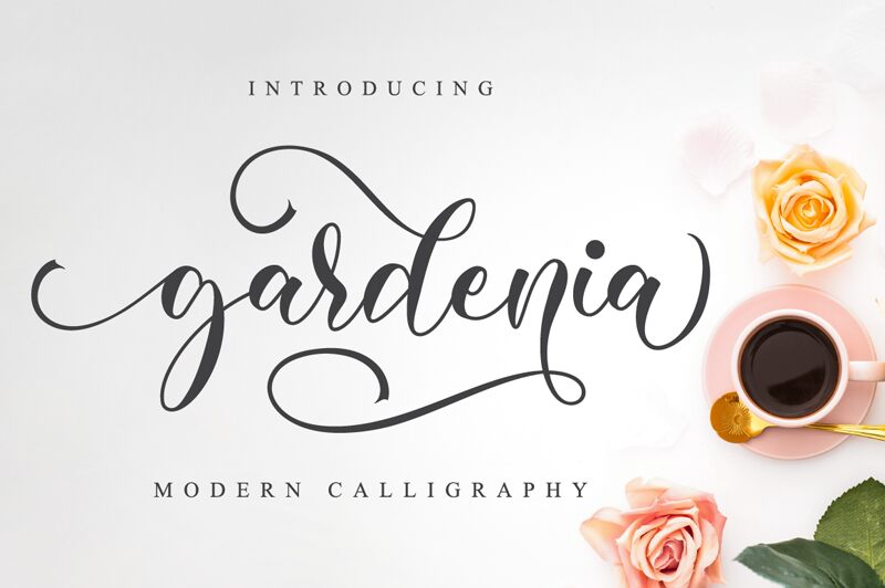 Gardenia Czcionka