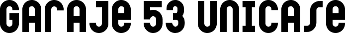 Garaje53Unicase-Black