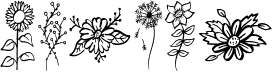 Garden Flowers