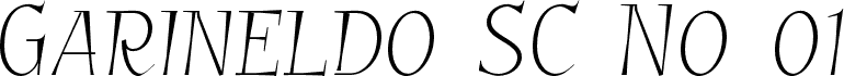 GarineldoSCNo01