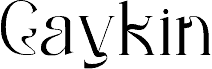 Gaykin Regular písmo