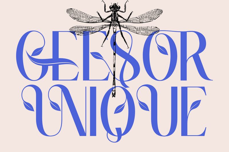 GEESOR UNIQUE Schriftart