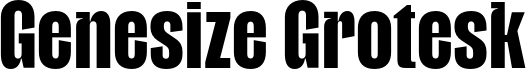 Genesize Grotesk Demo Regular