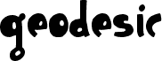 Geodesic