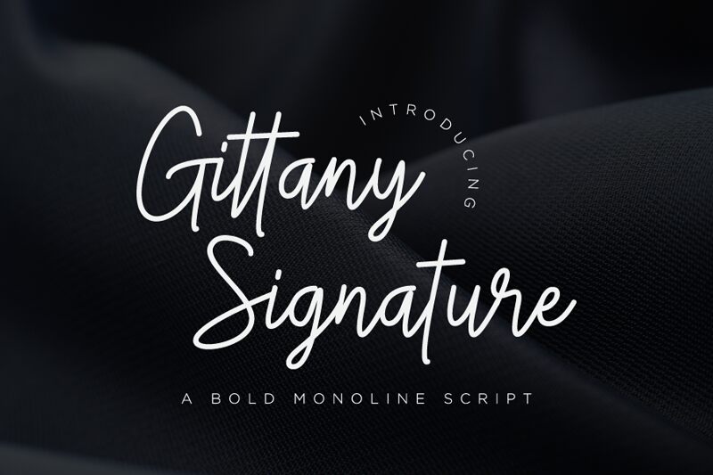 Gittany Signature Police