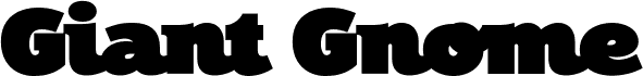 Giant Gnome Ltd