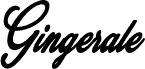 Gingerale Personal Use Regular