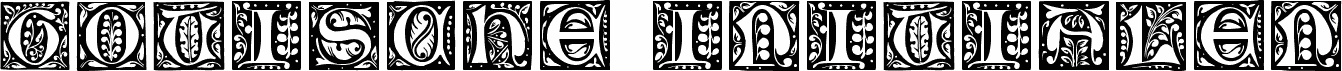 Gotische Initialen