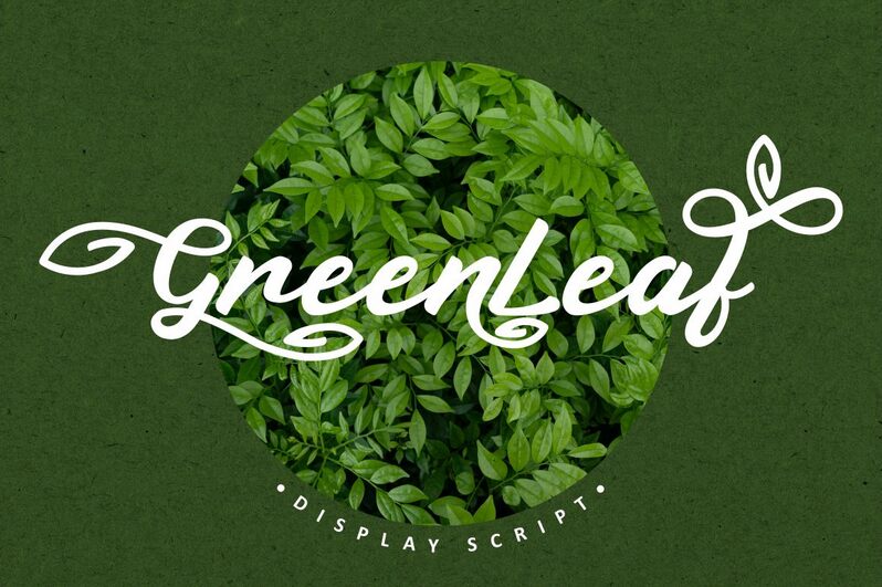 Greenleaf Schriftart