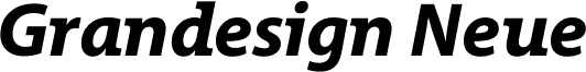 Grandesign Neue Roman Bold Italic