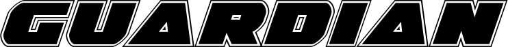 Guardian Academy Italic