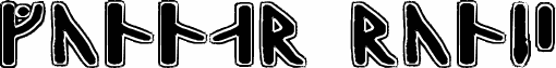 Gunnar Runic