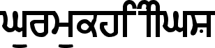 GurmukhiIIGS