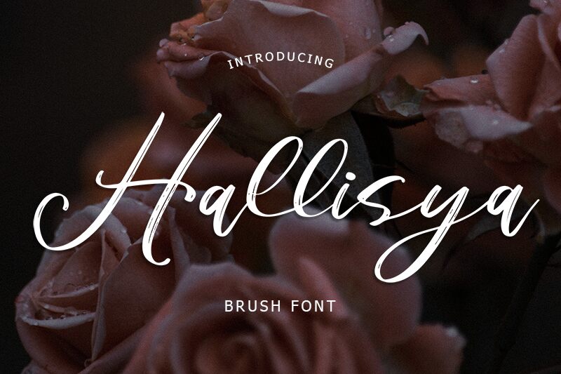 Hallisya Schriftart