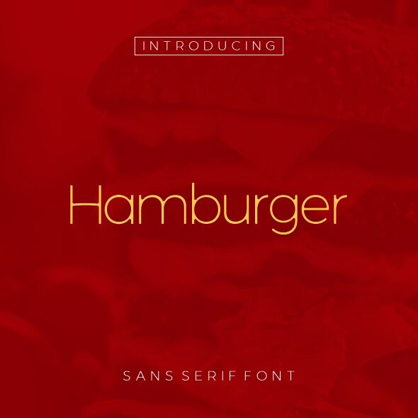Hamburger Druh písma