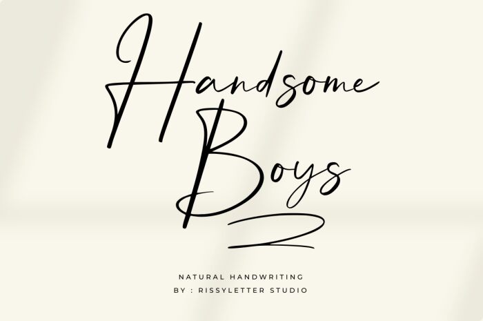 Handsome Boys Fuente