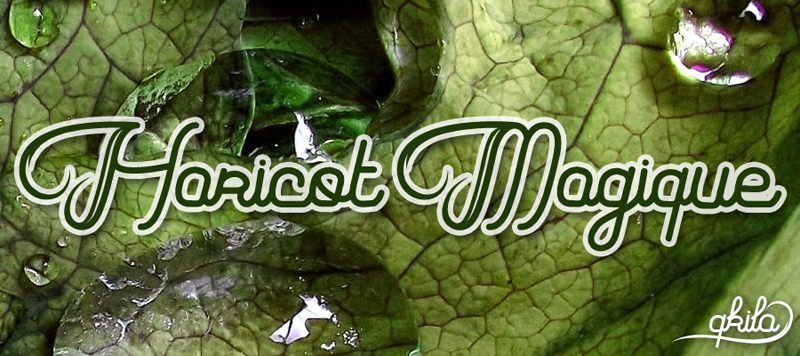 Haricot Magique Czcionka