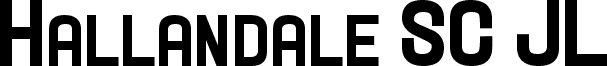 Hallandale SC Heavy JL