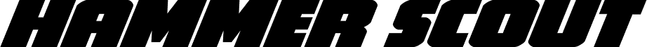 Hammer Scout Expanded Italic