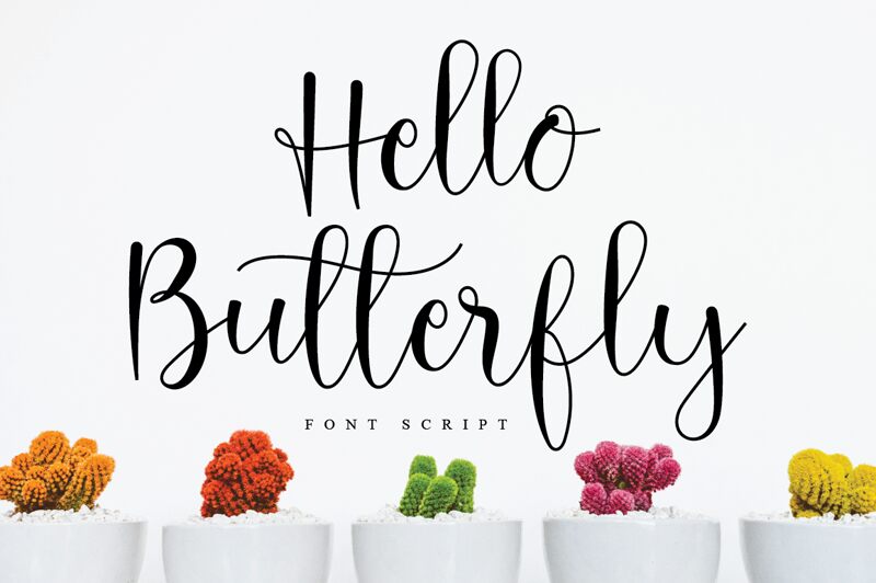 Hello Butterfly Fuente