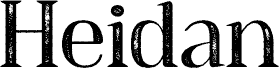 Heidan Stamp Demo Regular