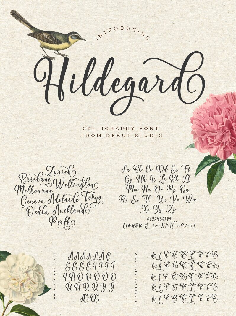 Hildegard Carattere