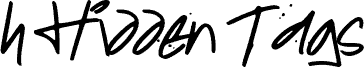 HIDDEN TAGS font