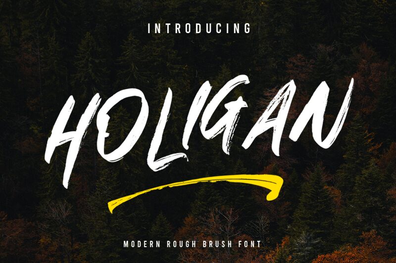HOLIGAN Schriftart