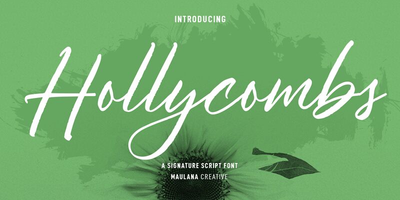 Hollycombs الخط 