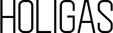 Holigas