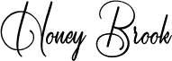 Honey Brook Demo