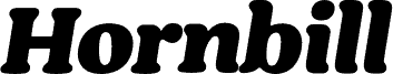 Hornbill Trial Black Italic fonte