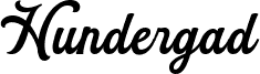 HundergadDemo
