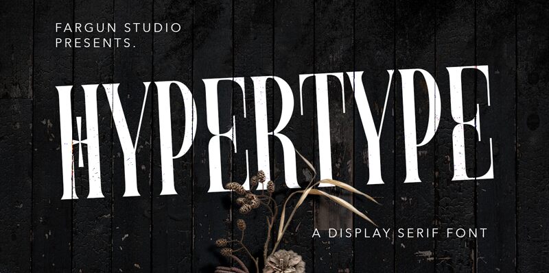 Hypertype Druh písma