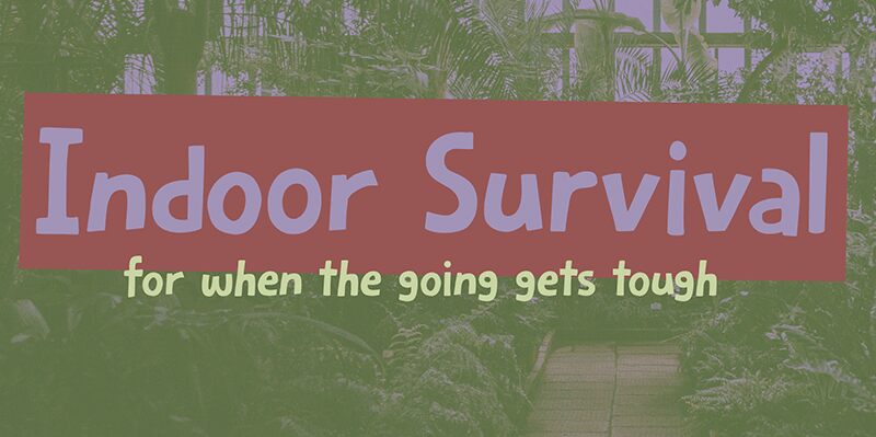 Indoor Survival Schriftart