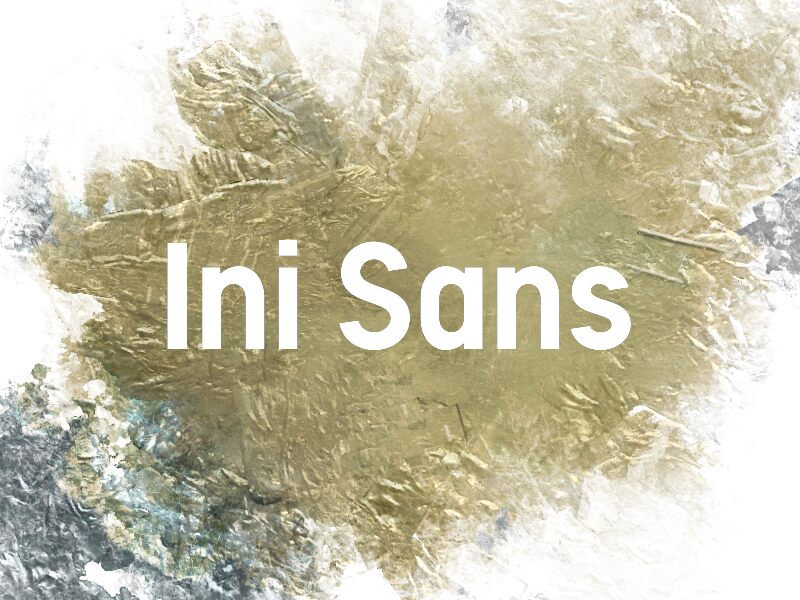 i Ini Sans Druh písma
