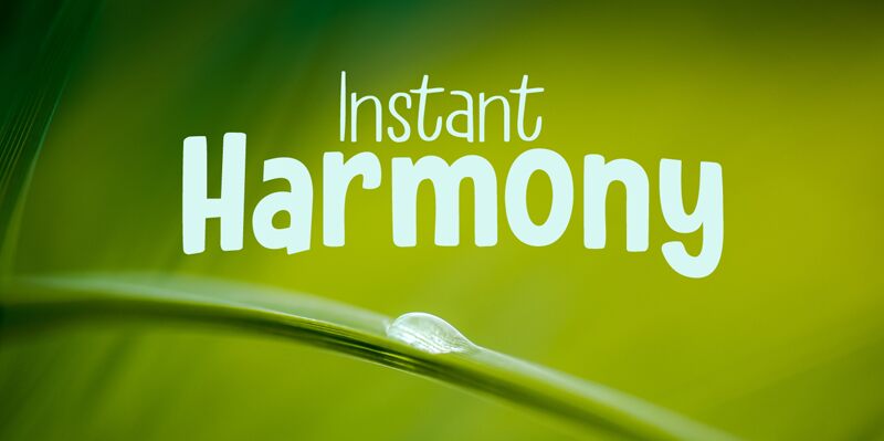 Instant Harmony Schriftart