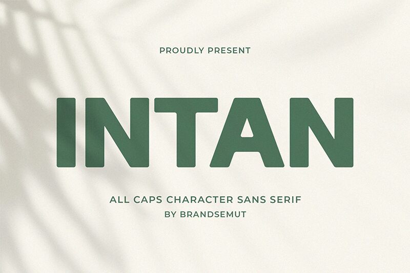 Intan الخط