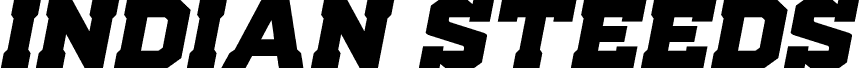 Indian Steeds Expanded Italic