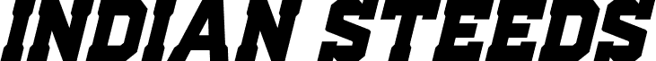 Indian Steeds Super-Italic