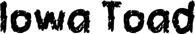 Preview of the Iowa Toad font