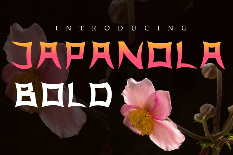 Japanola Schriftart