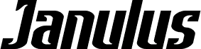Janulus Wide Italic